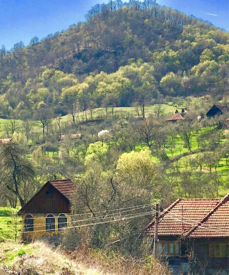 Pensiunea La Buru Caraciu Exterior foto