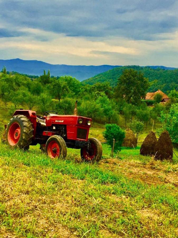 Pensiunea La Buru Caraciu Exterior foto
