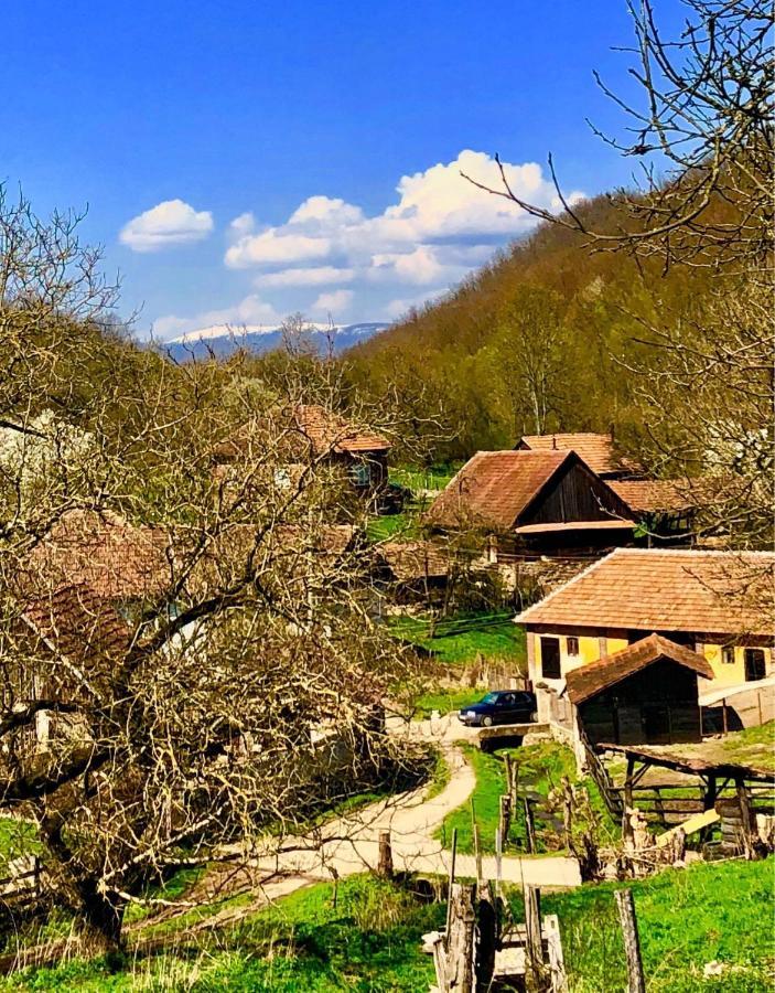 Pensiunea La Buru Caraciu Exterior foto